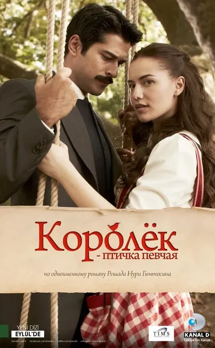 Королёк – птичка певчаяÇ (2013)